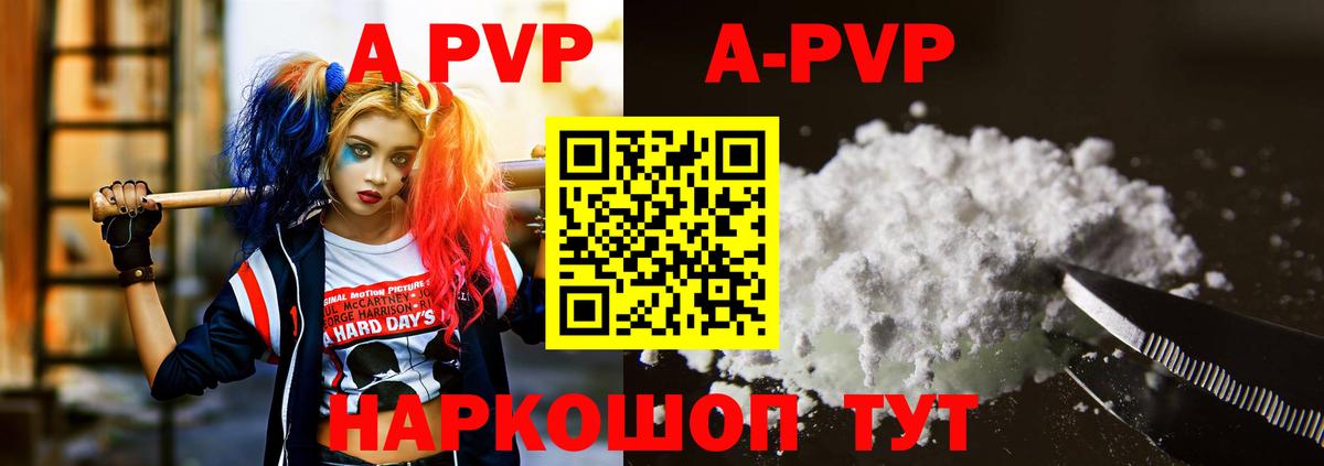 A PVP СК Нововоронеж
