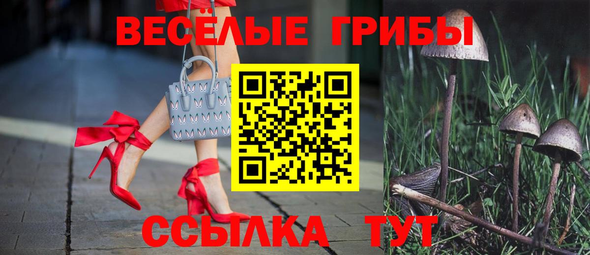 Галлюциногенные грибы ЛСД  наркота  Нововоронеж  Вход с VPN 