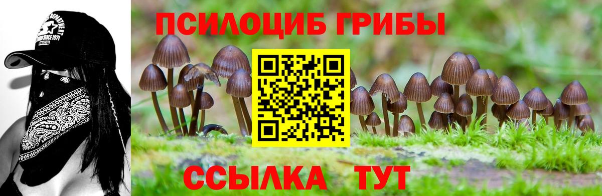 Галлюциногенные грибы Magic Shrooms Нововоронеж